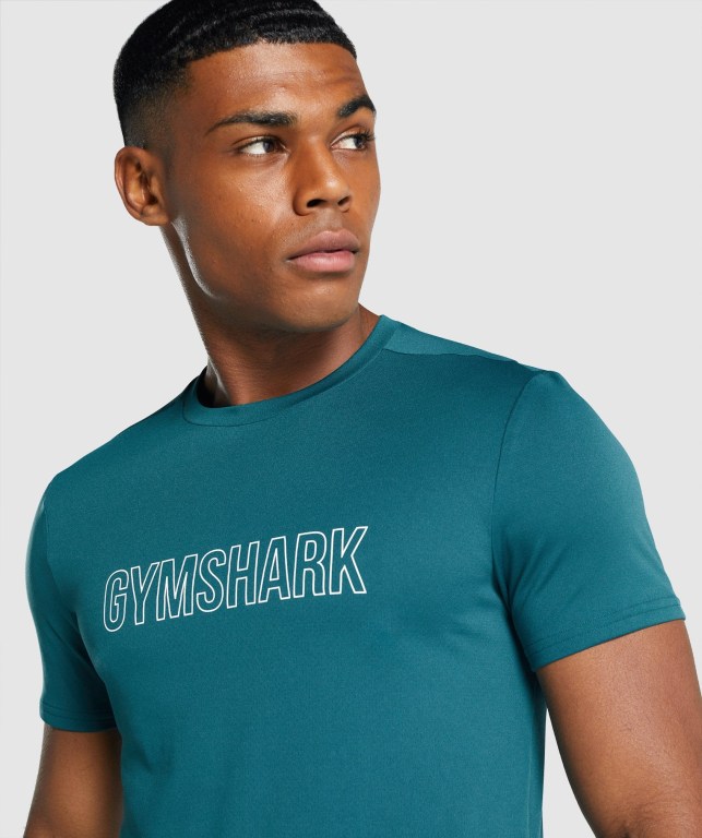 Turquoise Gymshark Arrival Graphic Men's T Shirts | US-90DTHMI