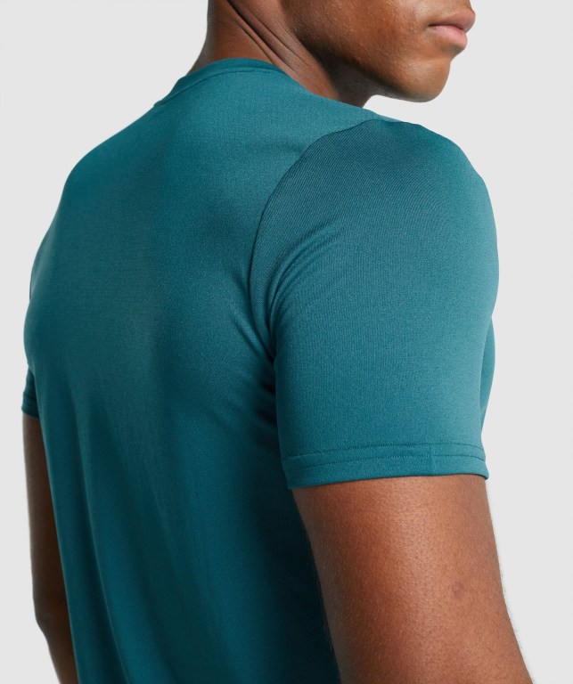 Turquoise Gymshark Arrival Graphic Men's T Shirts | US-90DTHMI