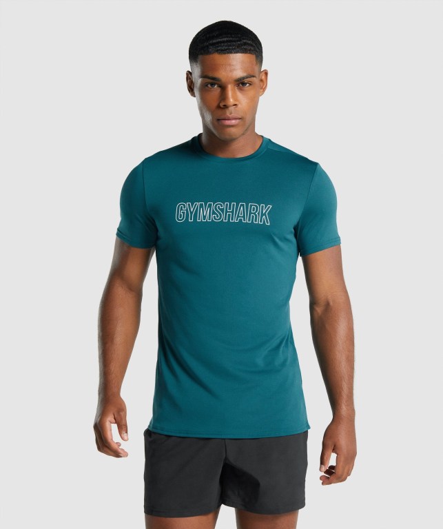 Turquoise Gymshark Arrival Graphic Men\'s T Shirts | US-90DTHMI