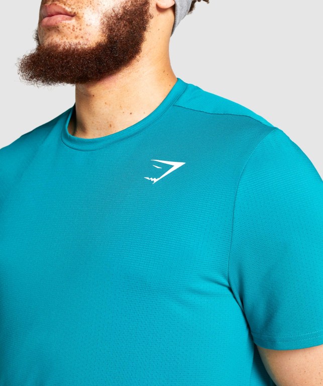 Turquoise Gymshark Arrival Men's T Shirts | US-06FYBCW