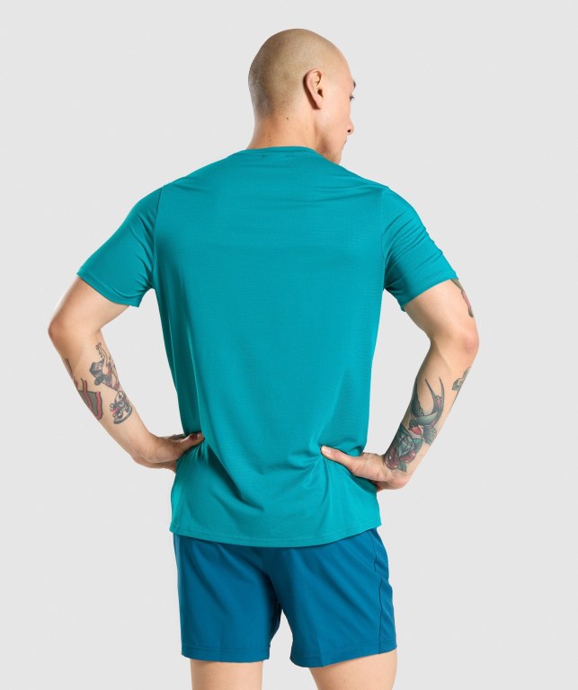 Turquoise Gymshark Arrival Regular Fit Men's T Shirts | US-09IWDQN