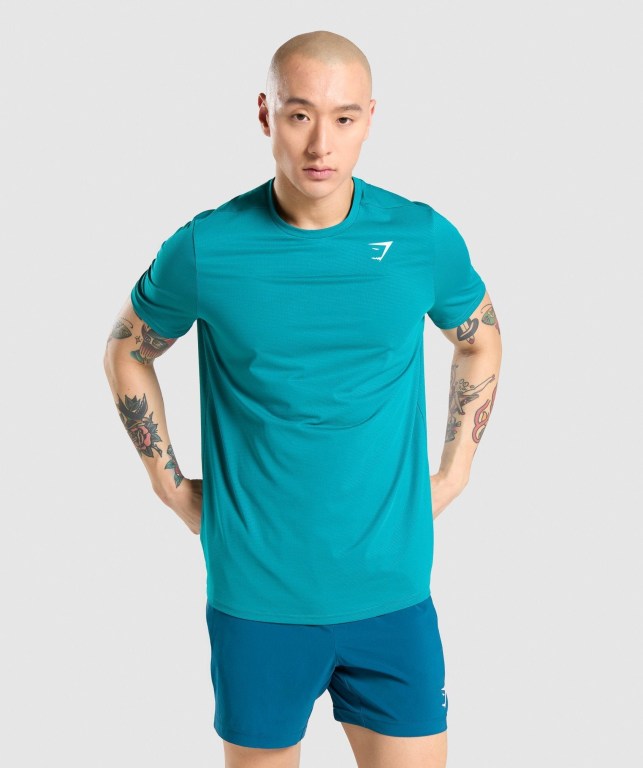 Turquoise Gymshark Arrival Regular Fit Men\'s T Shirts | US-09IWDQN