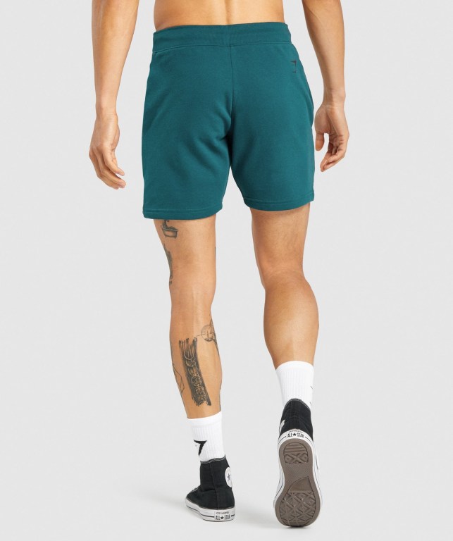 Turquoise Gymshark Bold Men's Shorts | US-18IXYBE