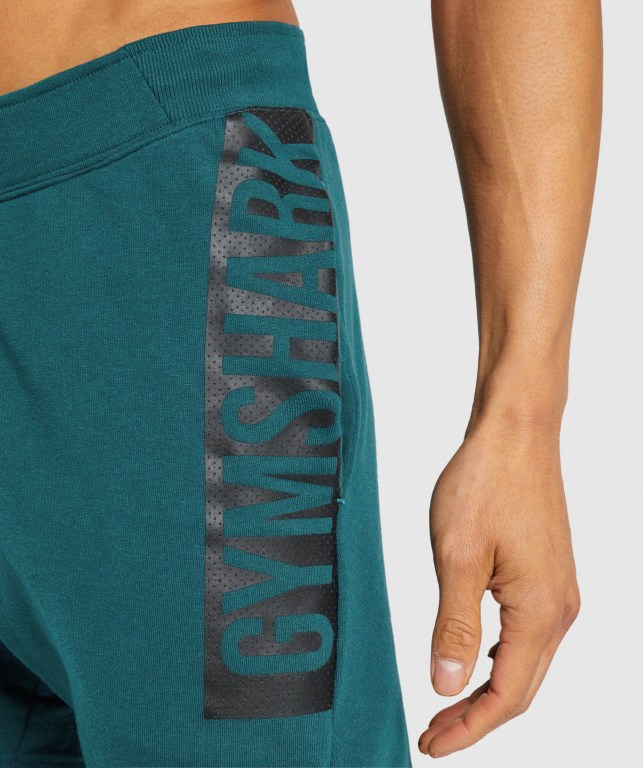 Turquoise Gymshark Bold Men's Shorts | US-18IXYBE