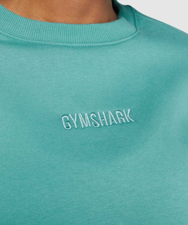 Turquoise Gymshark Pulse Women's Hoodies | US-02UKLOI