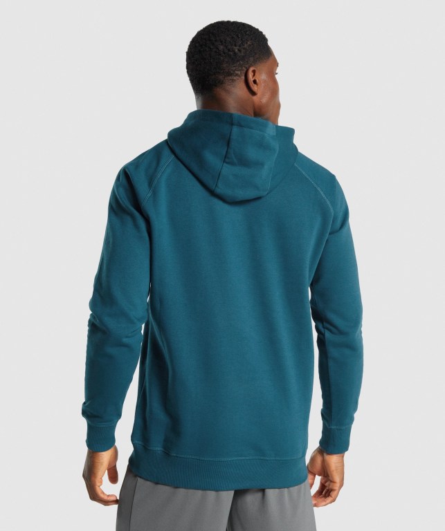 Turquoise Gymshark Sharkhead Infill Men's Hoodies | US-20QEUHF