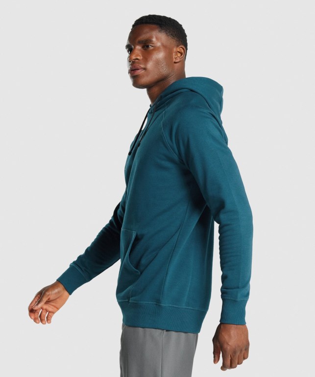 Turquoise Gymshark Sharkhead Infill Men's Hoodies | US-20QEUHF