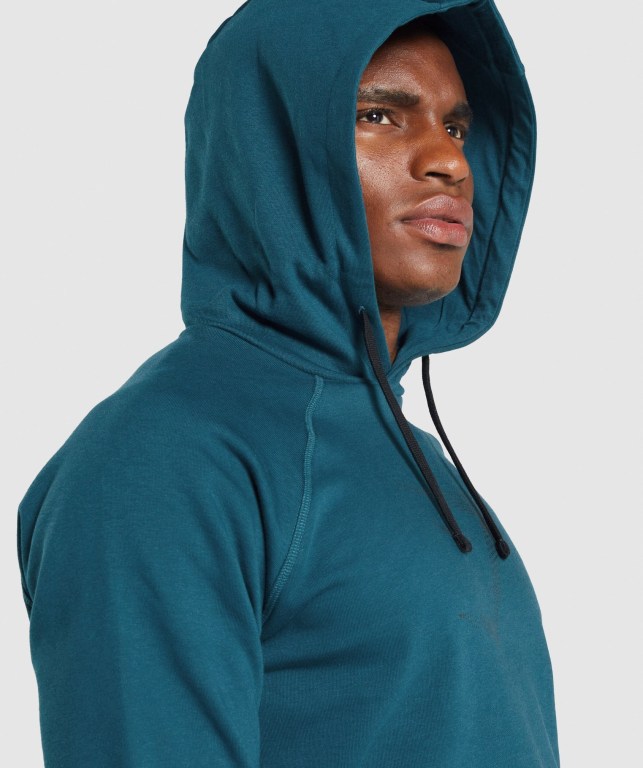 Turquoise Gymshark Sharkhead Infill Men's Hoodies | US-20QEUHF