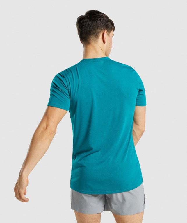 Turquoise Gymshark Sports Men's T Shirts | US-94KVMPJ