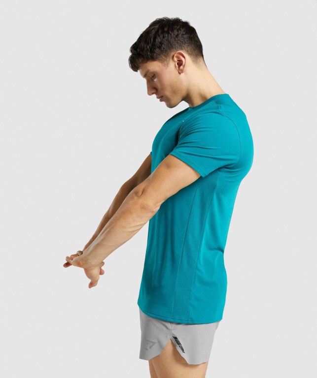 Turquoise Gymshark Sports Men's T Shirts | US-94KVMPJ