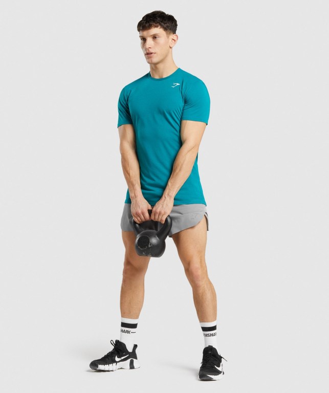 Turquoise Gymshark Sports Men's T Shirts | US-94KVMPJ