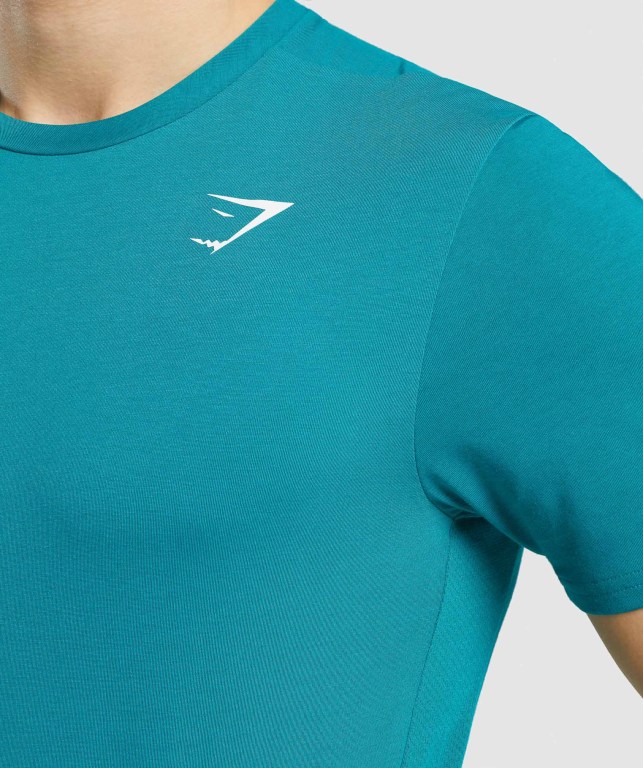 Turquoise Gymshark Sports Men's T Shirts | US-94KVMPJ