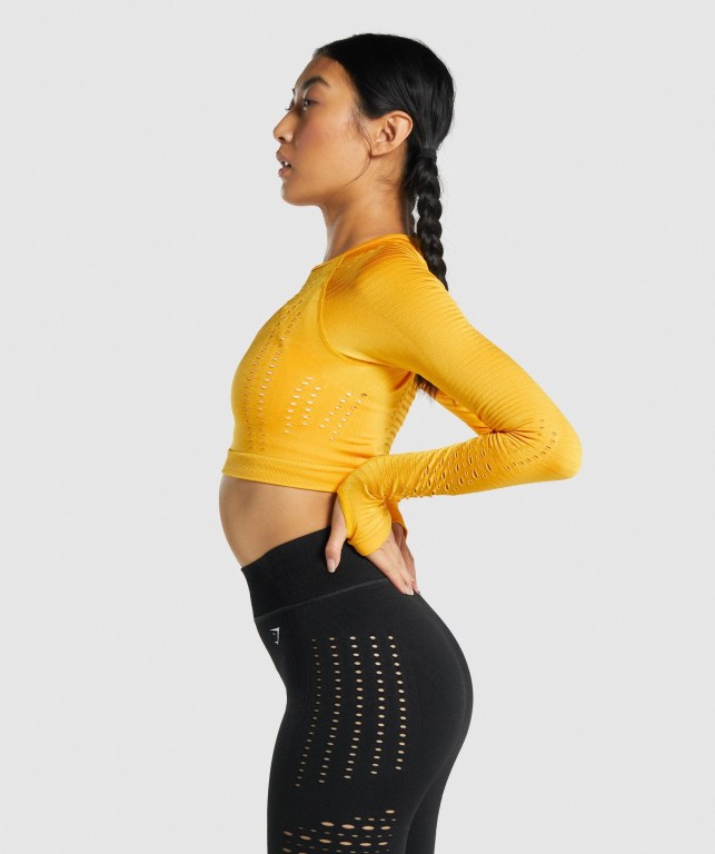 Yellow Gymshark Glow Seamless Crop Top Women's Sweatshirts | US-17CEOGM