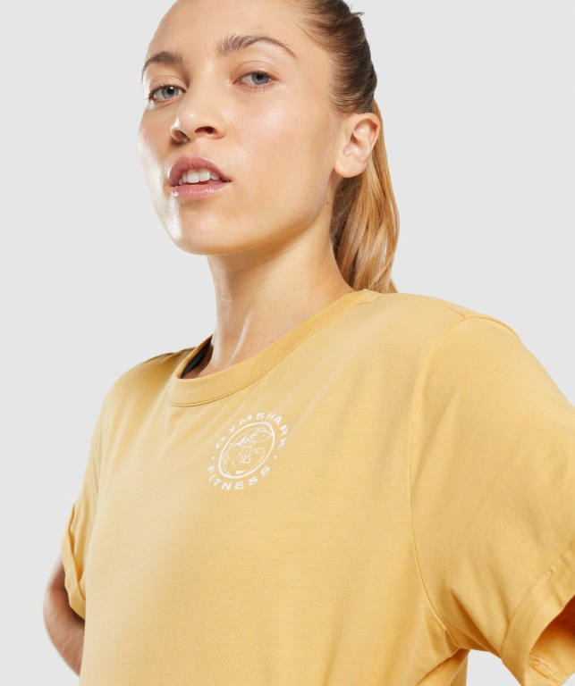 Yellow Gymshark Legacy Graphic Women's T Shirts | US-16YHCWE