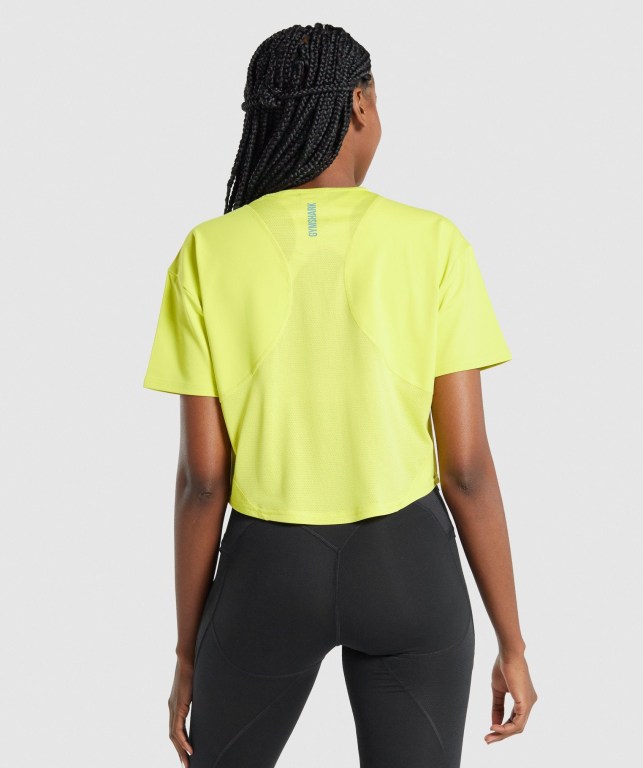 Yellow Gymshark Pulse Women's T Shirts | US-94TORZU