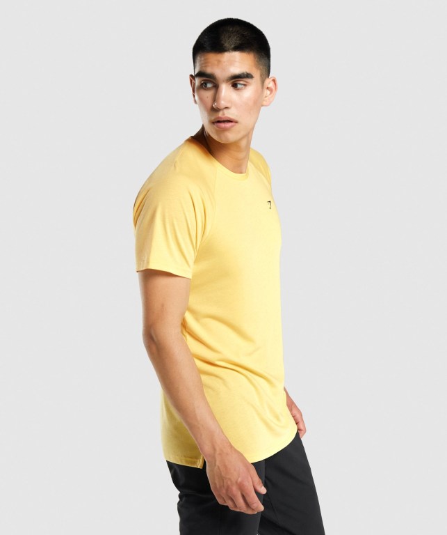 Yellow Gymshark Studio Men's T Shirts | US-63TVAKL