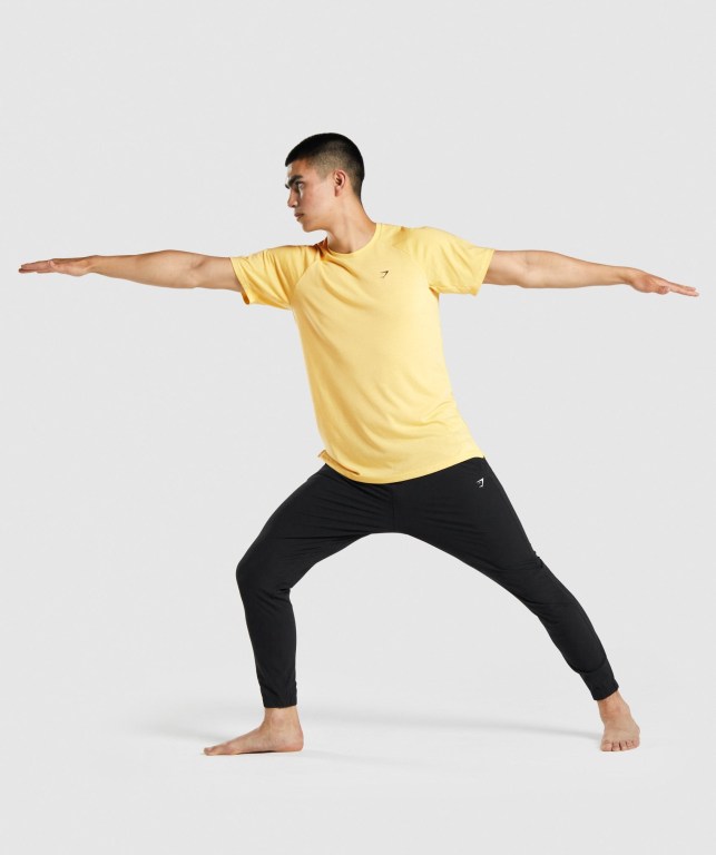 Yellow Gymshark Studio Men's T Shirts | US-63TVAKL