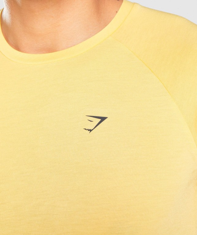 Yellow Gymshark Studio Men's T Shirts | US-63TVAKL