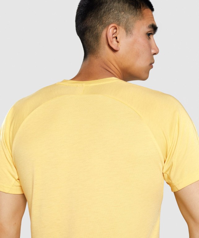 Yellow Gymshark Studio Men's T Shirts | US-63TVAKL