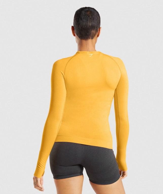 Yellow Gymshark Vital Seamless 2.0 Top Women's T Shirts | US-14GKRIX